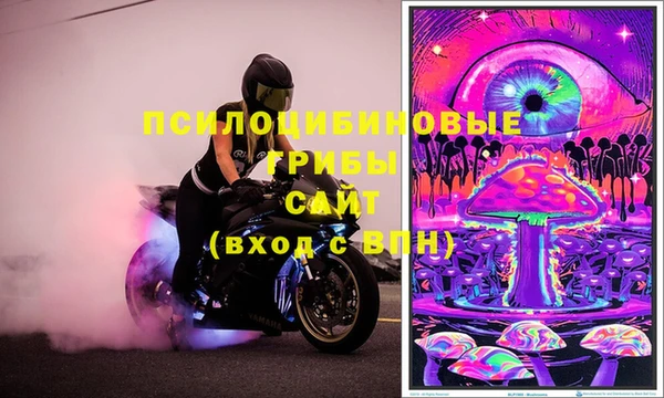 ПСИЛОЦИБИНОВЫЕ ГРИБЫ Горняк